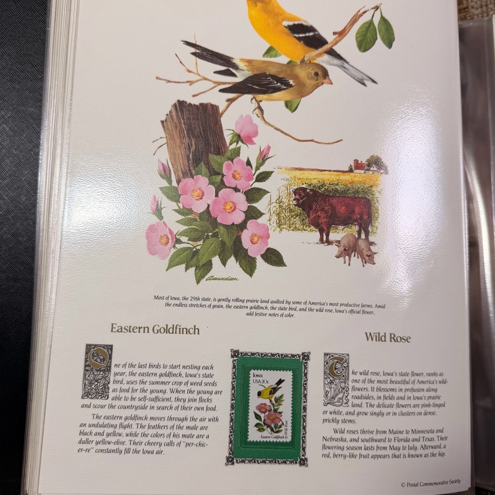 The State Birds & Flowers Commemorative Mint-Stamp Panels - Green Book EXC COND! - Picture 5 of 15